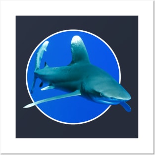 Longimanus shark Posters and Art